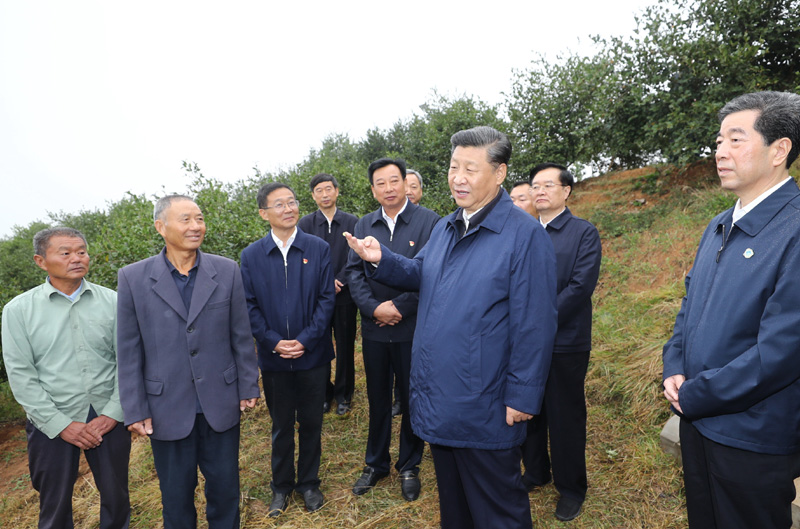 　　9月16日至18日，中共中央總書記、國家主席、中央軍委主席習近平在河南考察。這是17日上午，習近平來到信陽市光山縣槐店鄉(xiāng)司馬光油茶園，同正在勞作的村民和管理人員交流。 新華社記者 鞠鵬 攝