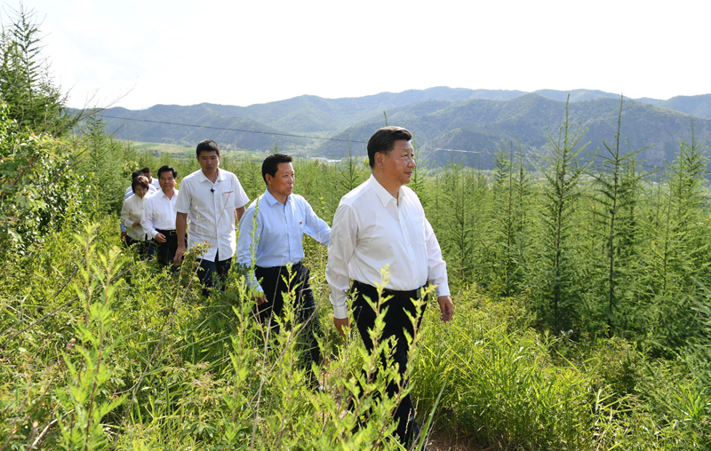 7月15日至16日，中共中央總書記、國家主席、中央軍委主席習(xí)近平在內(nèi)蒙古考察并指導(dǎo)開展“不忘初心、牢記使命”主題教育。這是15日下午，習(xí)近平在赤峰市喀喇沁旗馬鞍山林場林區(qū)，沿著崎嶇的護林小道察看林木長勢。